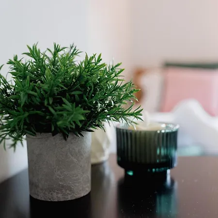 Bowling Terrace By Above Rubies - Stylish, 3 Bedroom, Pet Friendly House In 펜션 *