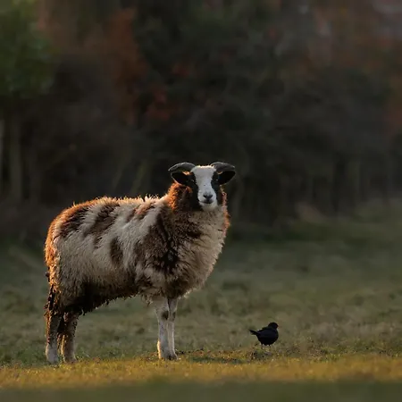 Bowling Terrace Above Rubies Dog Friendly, Walks Сasa de vacaciones