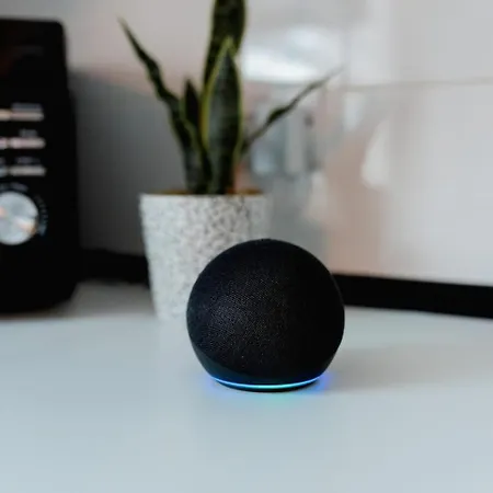 Bowling Terrace Above Rubies Dog Friendly, Walks 別荘