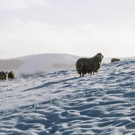 Сasa de vacaciones Bowling Terrace Above Rubies Dog Friendly, Walks
