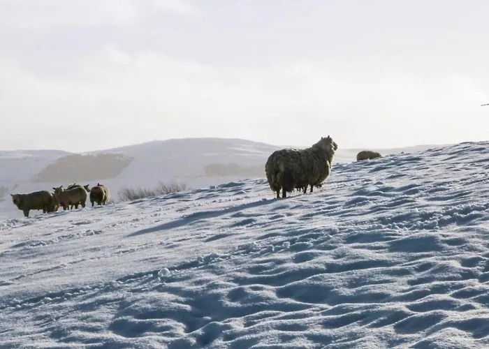 Semesterbostad Stylish 3 Bed, Wifi, Dog Friendly, Walks